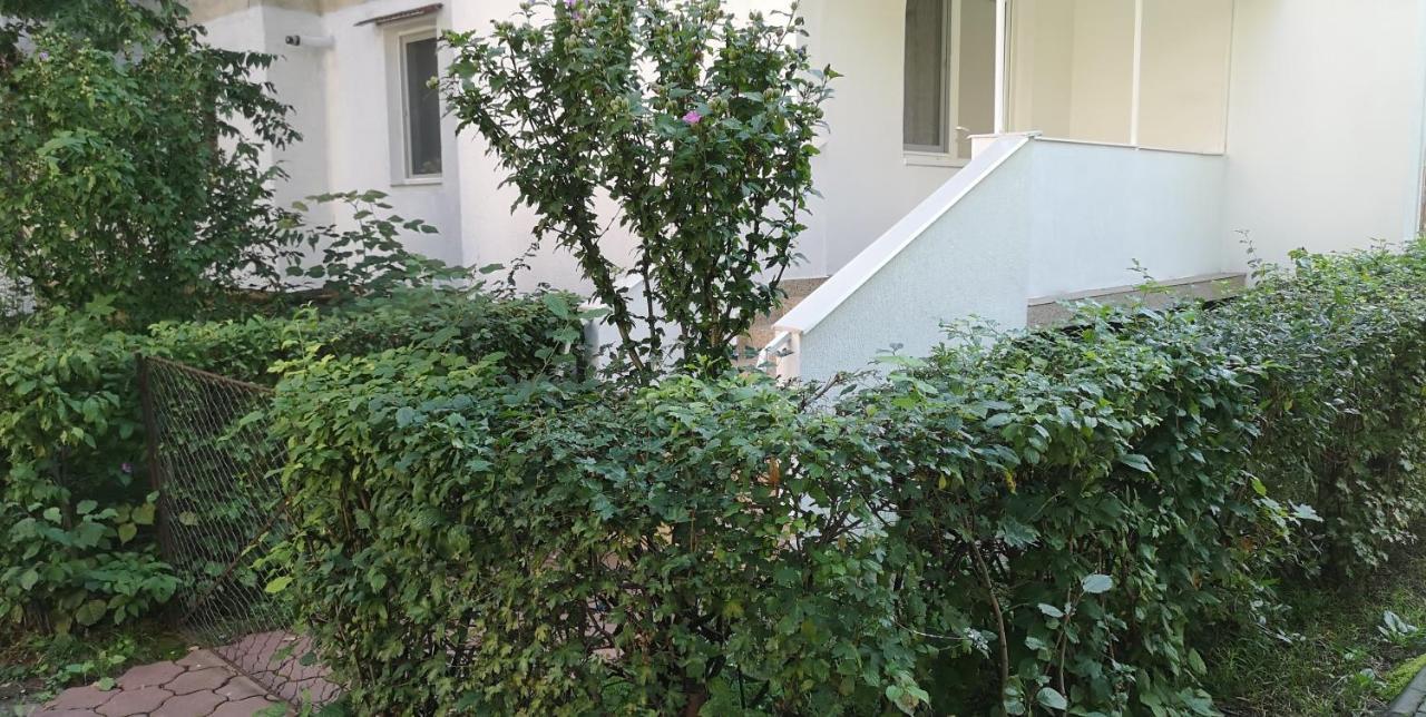 Diamond Apartment Тыргу-Муреш Экстерьер фото