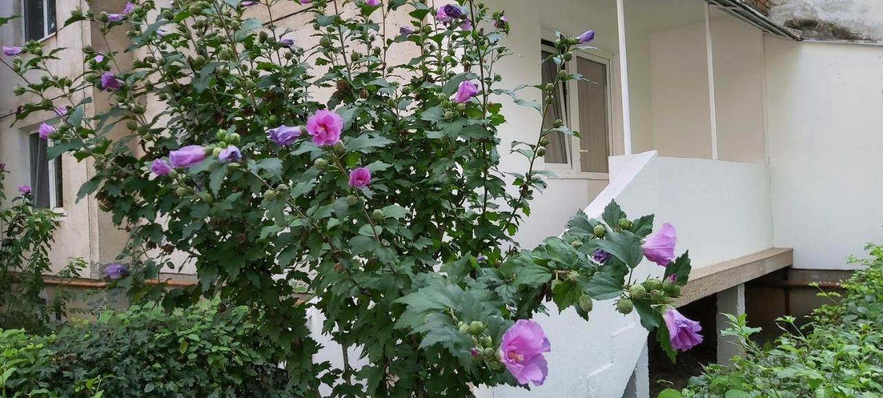 Diamond Apartment Тыргу-Муреш Экстерьер фото